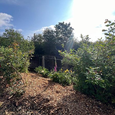 פלאואן Tolles Ferienhaus Frohnatur Mit Sauna In Ruhiger Lage מראה חיצוני תמונה